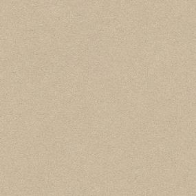 Posh Plushy - Clay Swatch