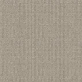 Well Rounded - Chamomile Swatch