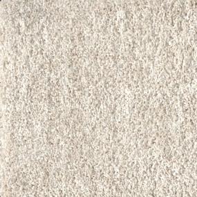 Faithful Sand Zoomed Swatch