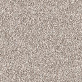 Akita - Shar-Pei Swatch