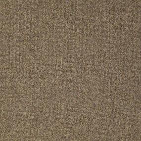 Acumen II 28 STLK - Third Base Swatch