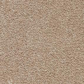 Whimbrel - Veranda Swatch