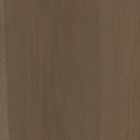 Cappuccino Zoomed Swatch