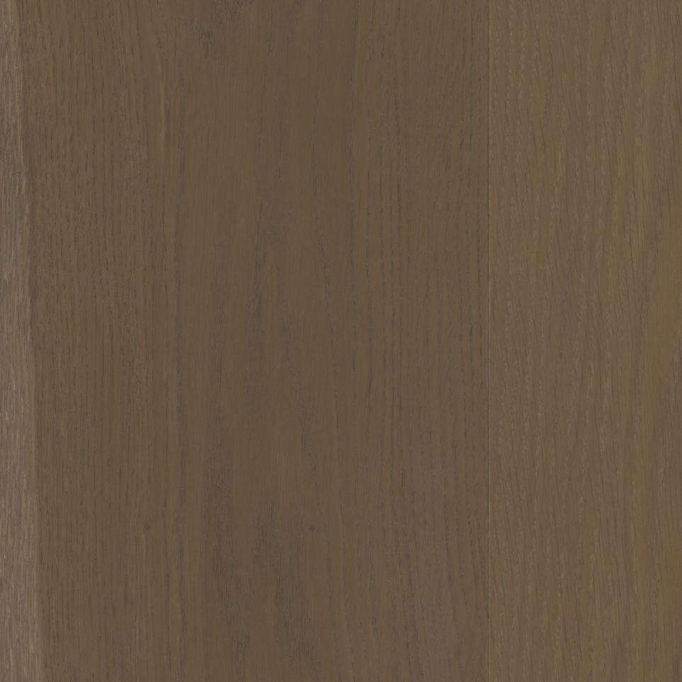 Cappuccino Zoomed Swatch