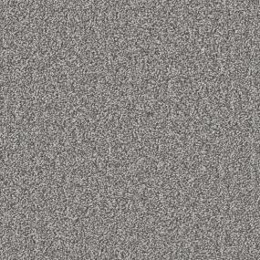 Wrought Iron Zoomed Swatch