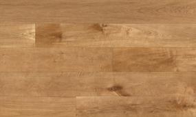 Expressions - Visage Swatch