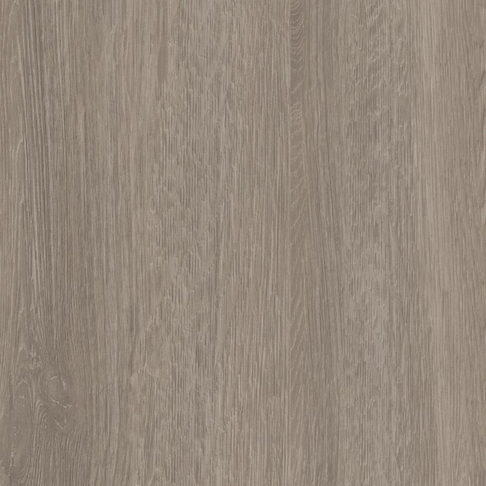 Enlightenment Zoomed Swatch