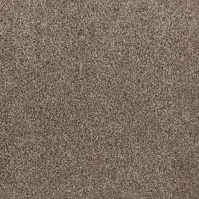 Trendsetter I - Oatlands Swatch