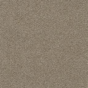 Clear Skies I - Warm Teak Swatch