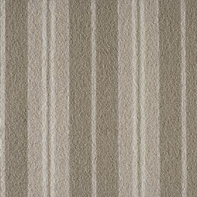 Coastal - Plains/Desert Swatch