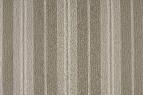 Coastal - Plains/Desert Swatch
