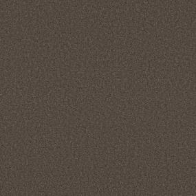 Blossom Snow - Espresso Swatch