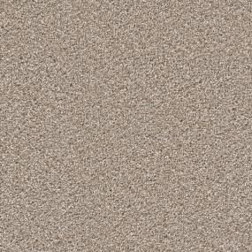 Cape Cod - Ash Swatch