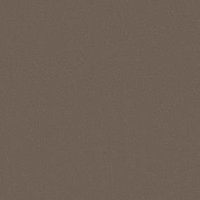 Modern Sophistication - Saddle Swatch