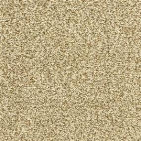 Dawn'S Delight - Maplewood Swatch