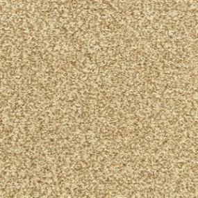 Dawn'S Delight - Acorn Swatch