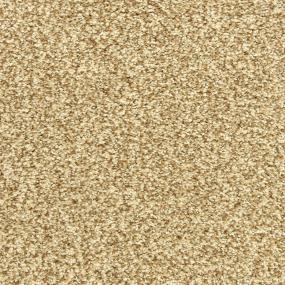 Acorn Swatch Thumbnail