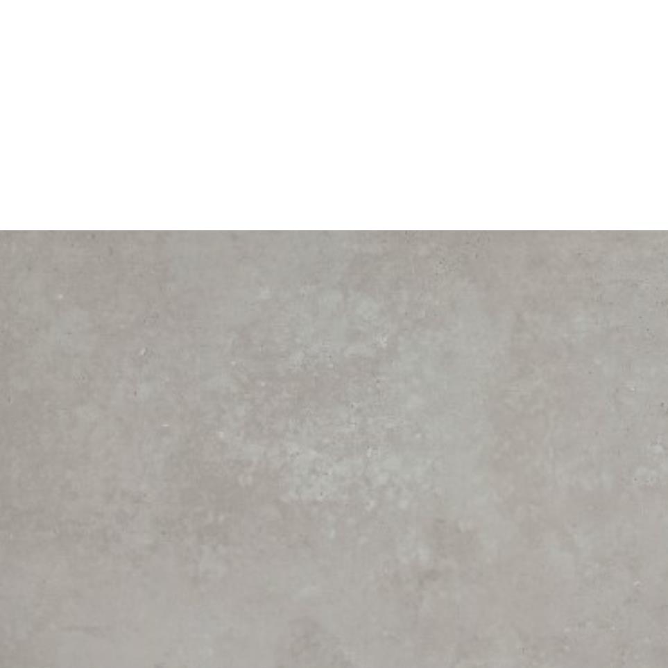 Silver Zoomed Swatch