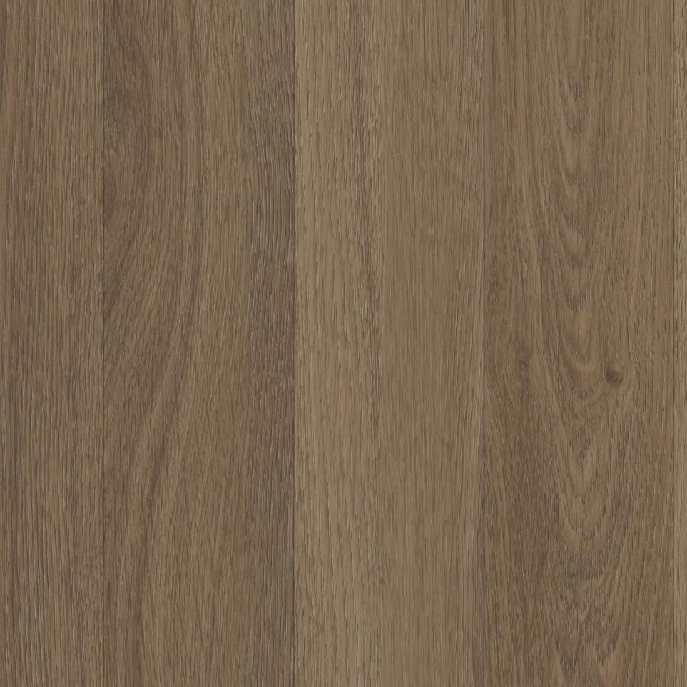 Burnt Sienna Zoomed Swatch