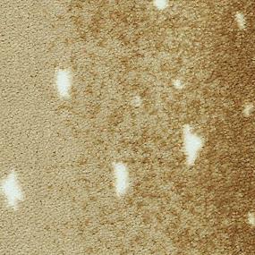 Golden Antelope Zoomed Swatch