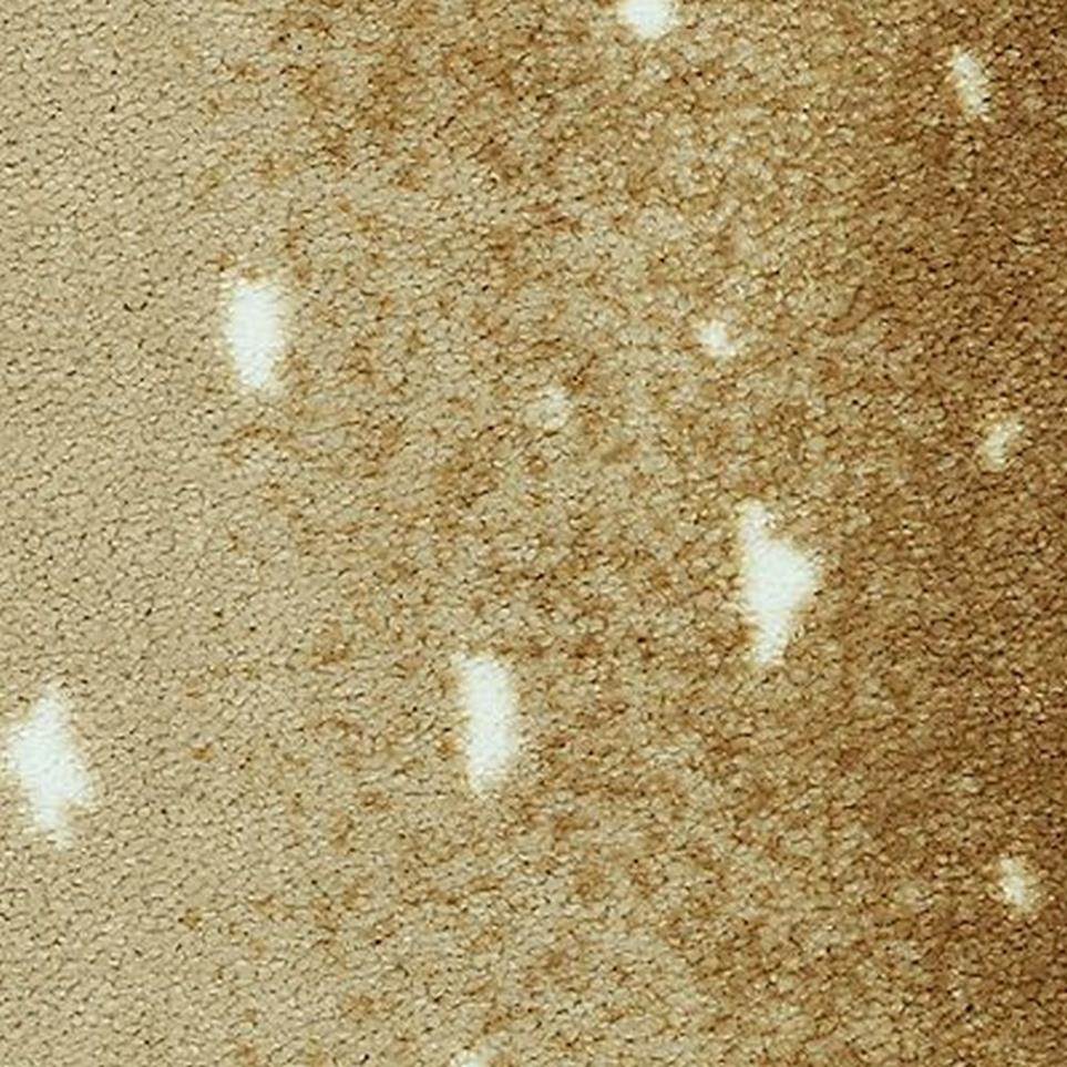 Savanna Scenes