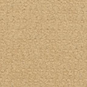 Golden Retriever Zoomed Swatch