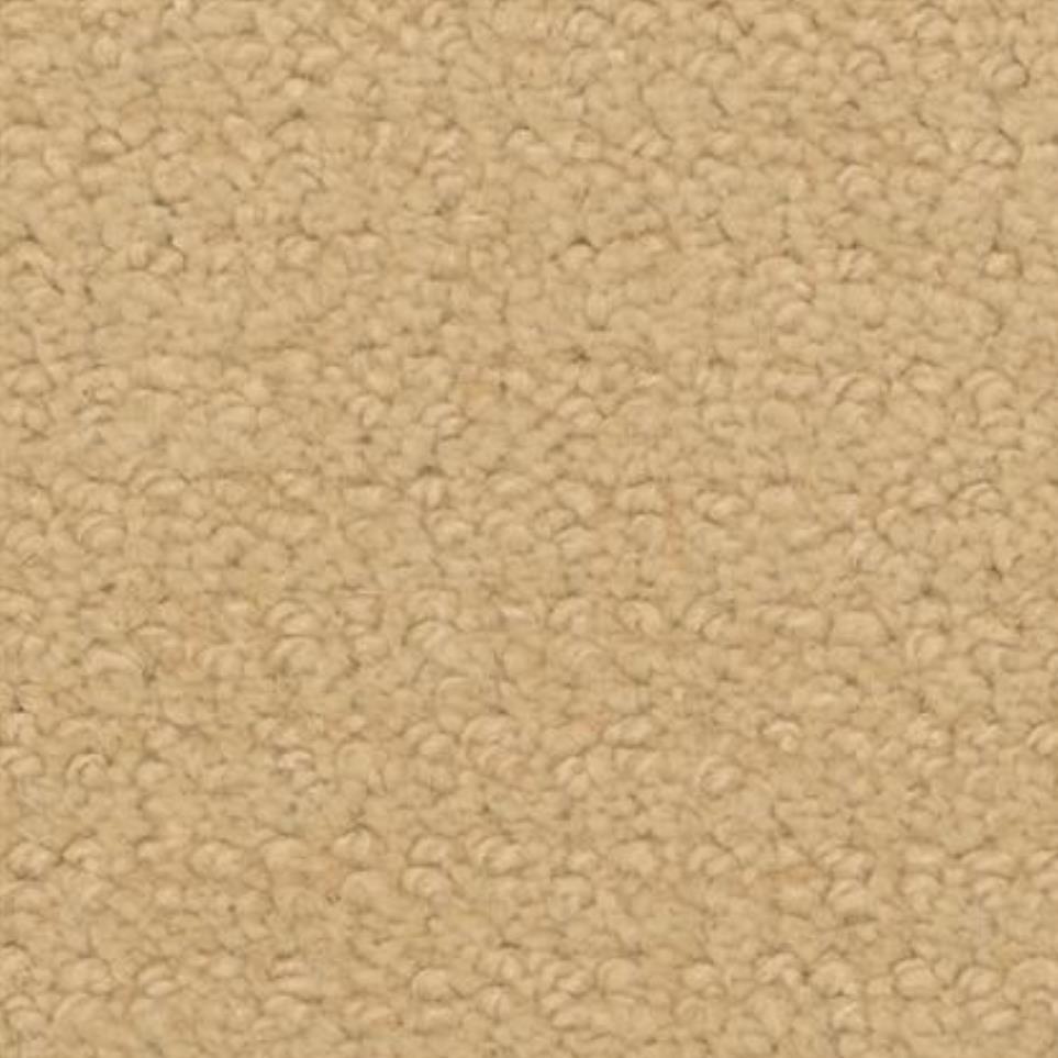 Golden Retriever Zoomed Swatch