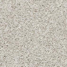 Refined Glamour - Silver Fox Swatch