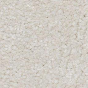 Chamois Zoomed Swatch