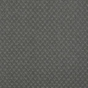 Harbor Seal Swatch Thumbnail