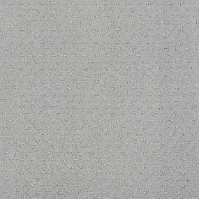 Silver Fox Swatch Thumbnail