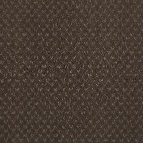Chocolate Curl Swatch Thumbnail