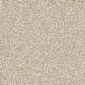 Homecoming Zoomed Swatch