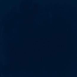 Navy Glossy Swatch