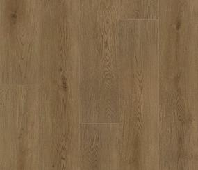 Plainfield Oak Swatch Thumbnail