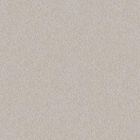 Alluring Canvas - Winters Dawn Swatch