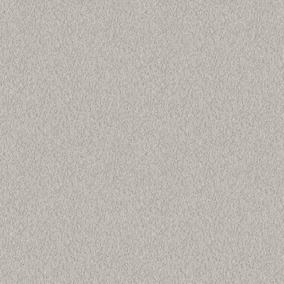 Alluring Canvas