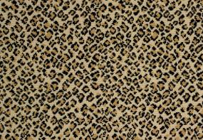 Felix - True Leopard Swatch
