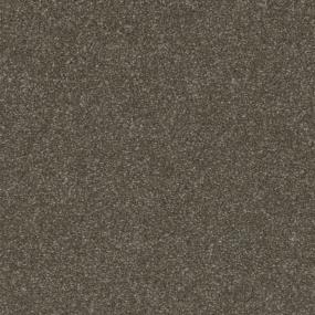 Established Zoomed Swatch