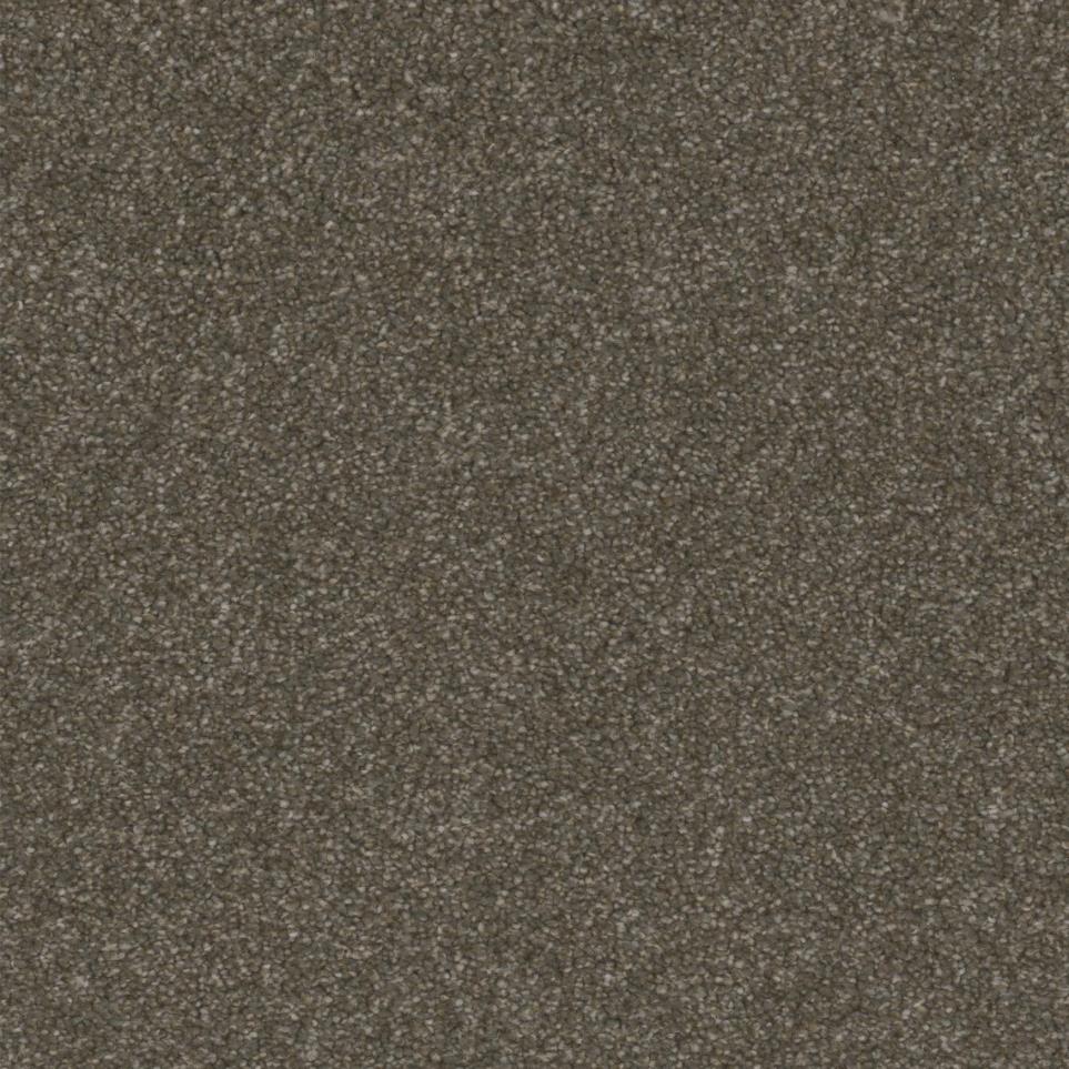 Established Zoomed Swatch