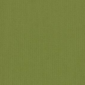 Color Array II BL - Island Palm Swatch