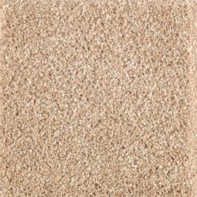 Natural Refinement II - Maple Tint Swatch