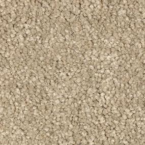 Perfect Peace - Nutria Swatch