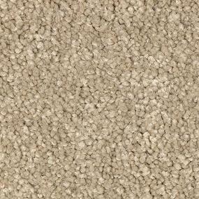 Nutria Zoomed Swatch