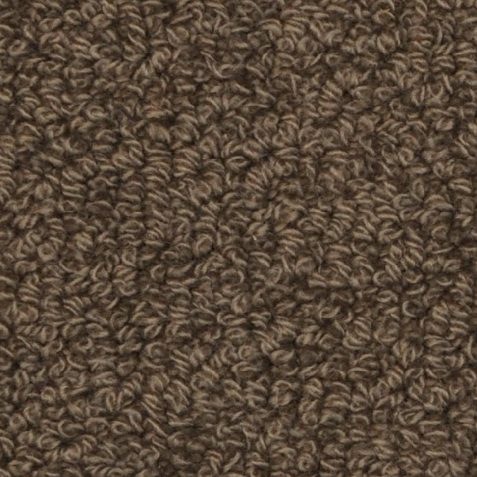 Clemons Zoomed Swatch
