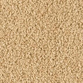 Soft Eloquence - Silent Hills Swatch