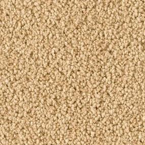 Silent Hills Zoomed Swatch