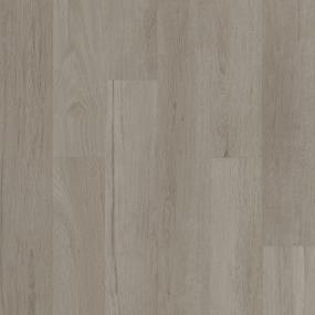 Olympic Valley 20 - Montreat Swatch