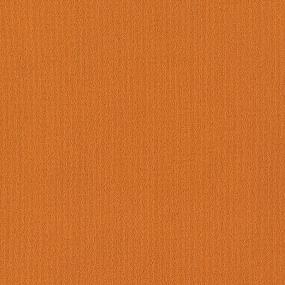 Color Array Tl II 24x24 - Pumpkin Pie Swatch