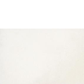 Sonic White Matte Zoomed Swatch